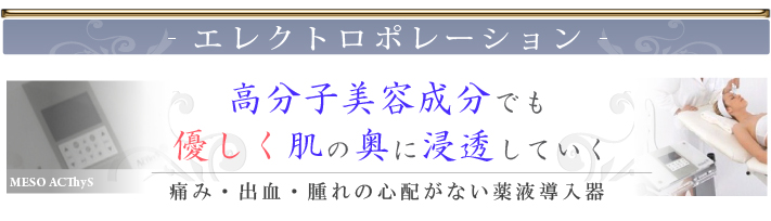 エレクトロポレーション