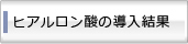 ヒアルロン酸の導入結果