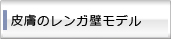 皮膚のレンガ壁モデル