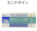 エンドタイン