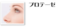 プロテーゼ