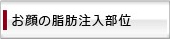 お顔の脂肪注入部位