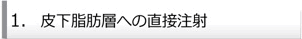 1.皮下脂肪層への直接注射