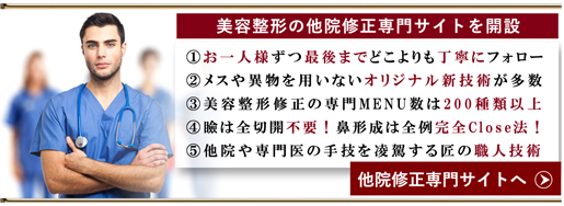 他院修正専門サイト
