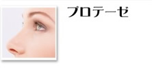 プロテーゼ